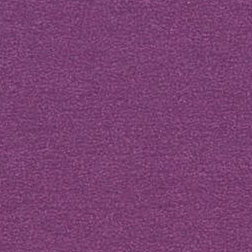 Purple (S)